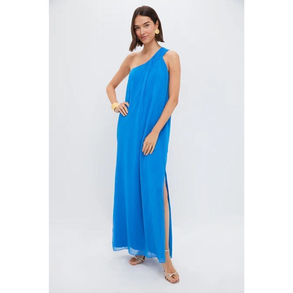 POMANDER PLACE Baleine Blue Soleil Gown Size XS NWT Retail $148 Tuckernuck